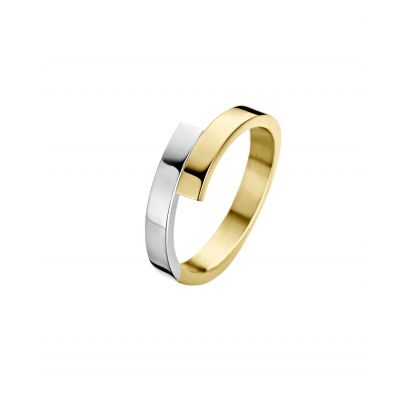 Fjory bicolor gouden/zilveren ring, 41-R37XXX3 Goud Zilver Fjory