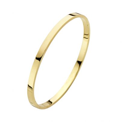 Fjory geelgouden/zilveren slavenarmband 61 mm., 40-A386104 Goud Zilver Fjory