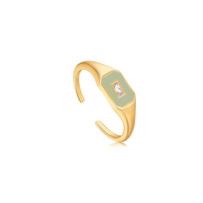 Ania Haie goud op zilveren Sage Enamel Emblem ring met groene emaille en zirkonia, R028-01G-G Verguld zilver Ania Haie