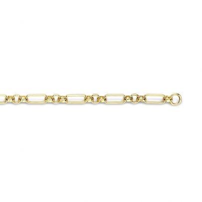 Fjory geelgouden/zilveren anker schakelarmband 21 cm., 40-FS030321 Goud Zilver Fjory