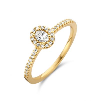 Rikkoert geelgouden entourage ring met diamant Goud Rikkoert Huiscollectie