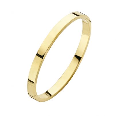 Fjory geelgouden/ziliveren slavenarmband 61 mm. 6 mm., 40-A386106 Goud Zilver Fjory