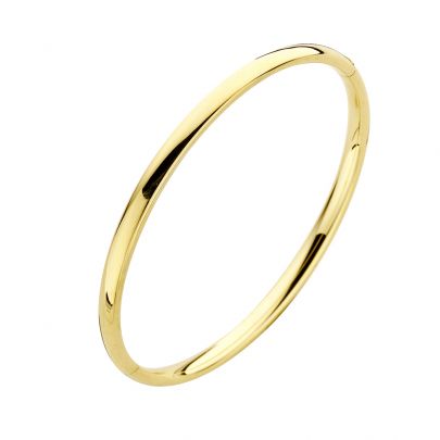 Fjory geelgouden/zilveren slavenarmband 58 mm. 5 mm., 40-A355805 Goud Zilver Fjory