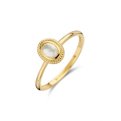 Blush geelgouden ring met parelmoer, 1239YMQ/54 Goud Blush