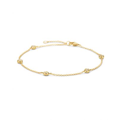 Blush geelgouden schakel armband met zirkonia 18,5 cm., 2213YZI Goud Blush